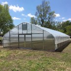 Single-span Plastic Film Tunnel Greenhouse