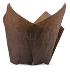 Tulip case 50x 60/95mm Brown