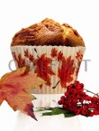 Leaves design Printed Baking Cases