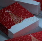 Christmas Boxes