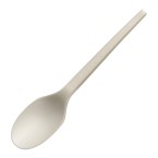 Biodegradable Spoon